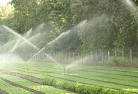 Freshwater QLDlandscaping-water-management-and-drainage-17.jpg; ?>